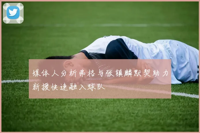 媒体人分析弗格与张镇麟默契助力新援快速融入球队