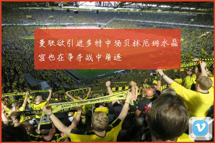 曼联欲引进多特中场贝林厄姆水晶宫也在争夺战中角逐